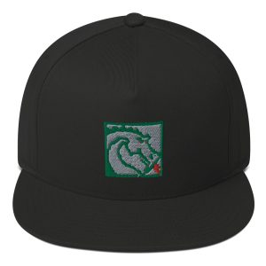 MacDragon Flat Bill Cap